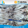 Congelado Illex Argentinus Squid Cabeza de diferentes tamaños disponibles